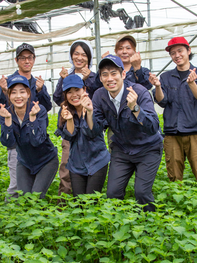 突撃 職業体験vol 1053 茨城県 水戸市のアルバイト バイト求人情報 求人アルゾweb