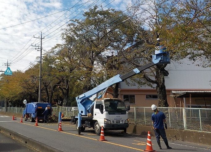 若手活躍中の造園スタッフ